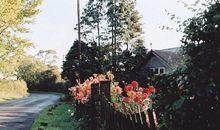 被背叛的心痛的句子说说心情