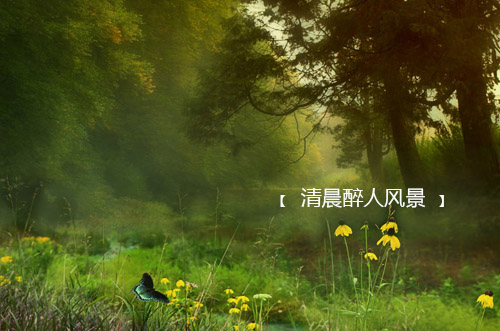 励志好句子大全 11