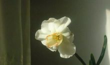 人老了更加看重亲情的句子