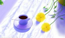 人生感悟哲理的句子