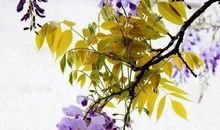 形容豁达的句子