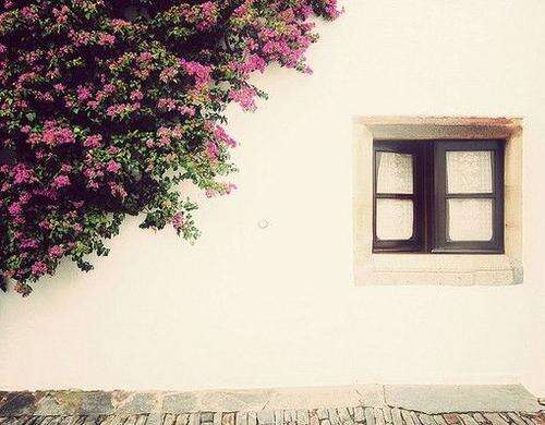 讴歌亲情的优秀句子