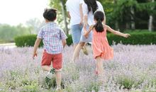 珍惜亲情可贵的句子