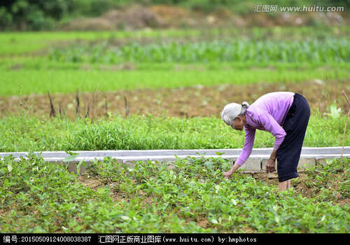 关于劳动的座右铭
