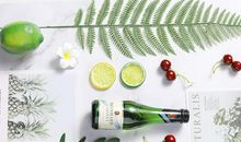 用景色描写父母亲情的句子