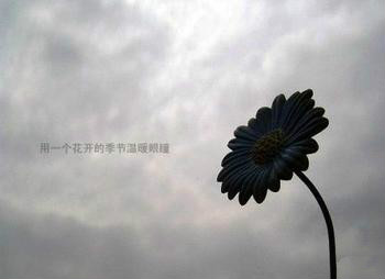 失去挚爱内心痛苦的句子 1