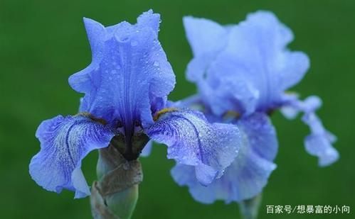 生活中的情感语录