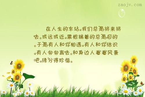 关于命运的句子