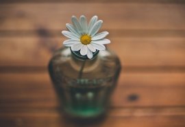 注重亲亲情的句子