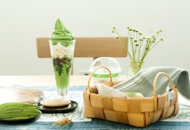 注重亲亲情的句子 1