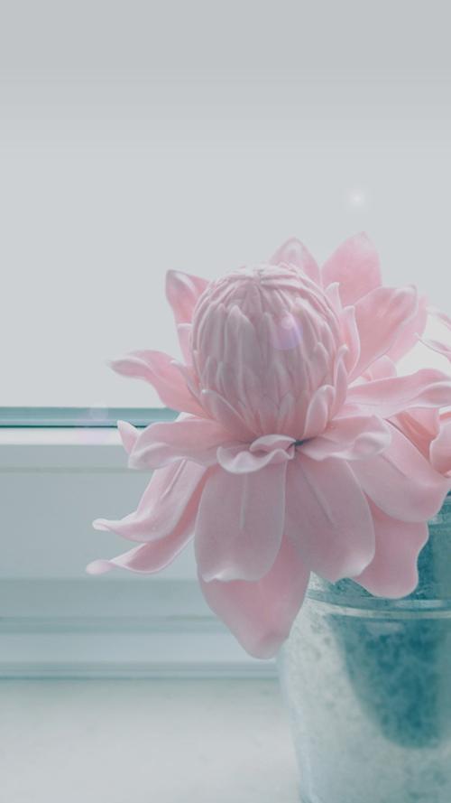 比较积极的座右铭 2