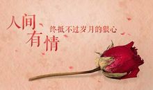 关于甜蜜的句子