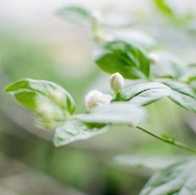 经典伤感语录第二期 7