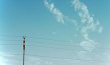 亲情流逝亲情的句子