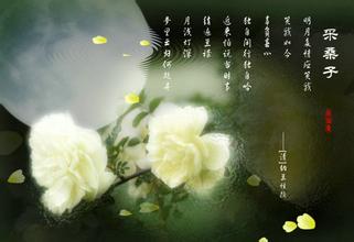 20.春云吹走了湖南的窗帘雨，黏稠的蝴蝶飞回了生活。人们在玉建筑中，该建筑高大而多风。几个切成薄片的柳叶烟丝和普通话瓷砖。靠近小浪an，夕阳是无边的山脉。