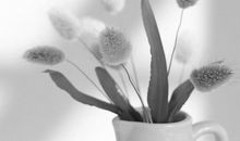 抒情的遗憾句子