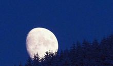 独自一人黑夜里心痛的句子