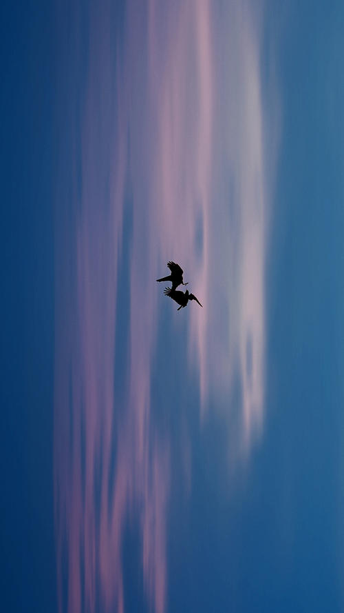 形容自己内心也很心痛的句子 1