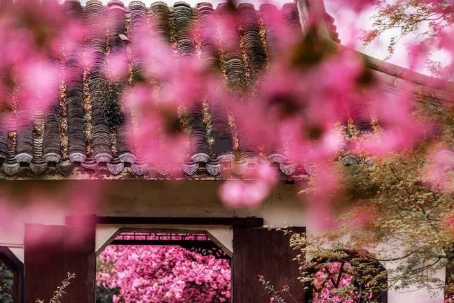 关于辞职的座右铭