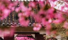 有关随缘的座右铭