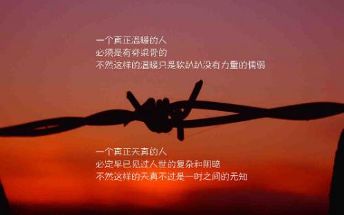 朋友的情感语录