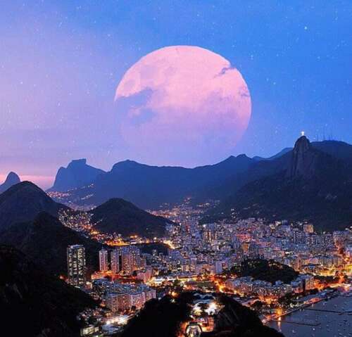 冠军一队口号 2