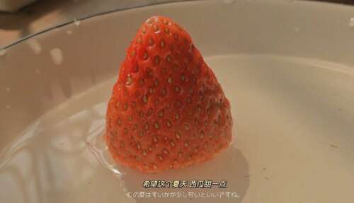 关于夏天的优美句子 适合摘抄的夏日优美语录 2