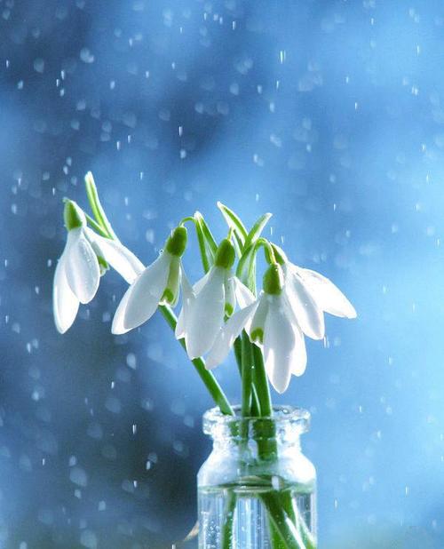 关于亲情的宋词句子 2