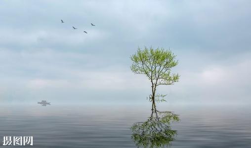 关于亲情的宋词句子 1