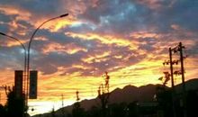 古诗中描写亲情的句子