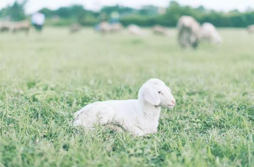 形容分开心扉了的句子 打开心扉的句子 1