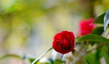 不开心喝酒不醉不归的句子 喝酒后的心情经典