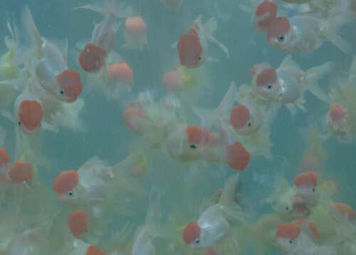 温柔且充满力量的励志句子大全 陪伴自己很久的励志说说 1