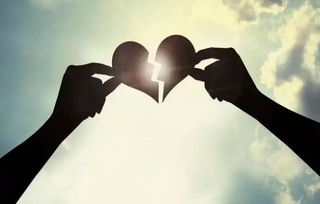 10.知道我一开始是错的，缺点是我太爱你了，我只想跟随你一生，而你是我一生中唯一深爱的人。