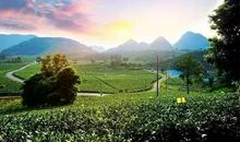 认真做一件事情开心的句子