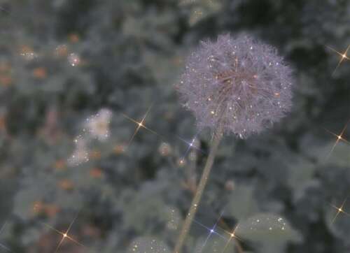 很走心的干净短句 治愈系走心的句子简短 1