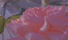 第一眼就心动的文案 温柔干净的文案