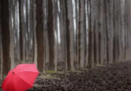 对自己家庭特别失望的句子 1