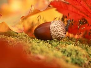 20.秋天的味道，一阵秋天的微风吹拂，凄凉的秋天的微风不禁让您感到有些凉意。它带走了夏天的高温，带来了凉爽和舒适。秋天的微风慢慢地吹，不是太大，而是轻轻地吹，轻轻地刷您的脸，带给您凉爽。