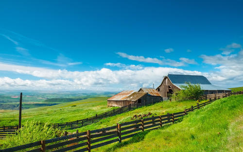 10.有时您说自己不喜欢它,这样当您说喜欢时,您将变得非常珍贵。
