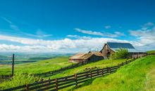 每天都不开心的句子 最新每天不开心的短句