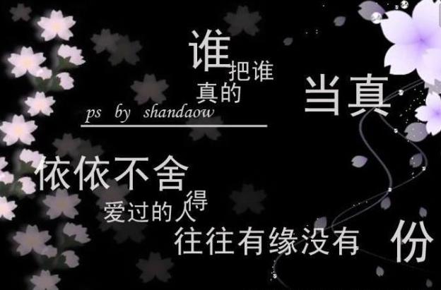 经典爱情行情第10期