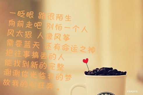 2017年最美的句子