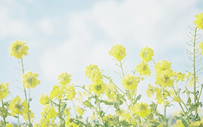 12.陷入爱河就像上帝给你另一个机会再次选择,让你彼此清楚地看到彼此。让您知道您真正想要的是什么。