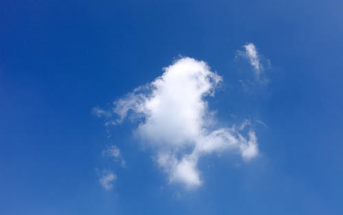 11.现在,当您悲伤时,眼中的泪水就是您的脑海!