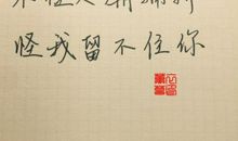 有关星星的句子