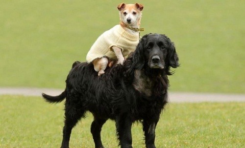 关于角色关系的经典句子3