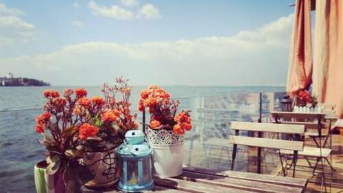 春节亲情重要的句子 2