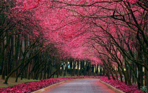 春节亲情重要的句子