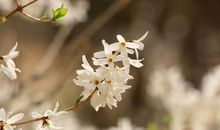 关于人生哲理的名言